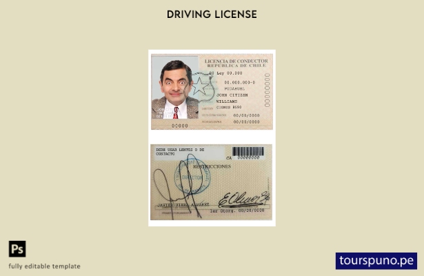 Plantilla de licencia de conductor de Chile lista para imprimir